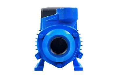 Насос поверхностный Джилекс «ВИХРЕВИК» 40/40 Ч»